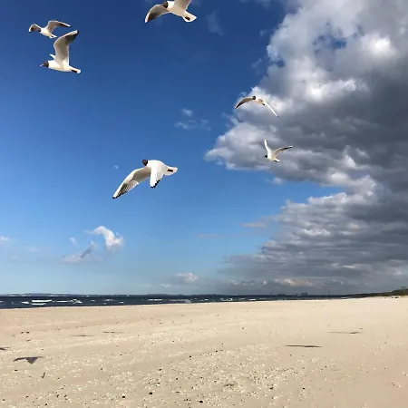 Haus Stoertebeker Hotel