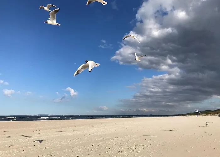 Haus Stoertebeker 호텔